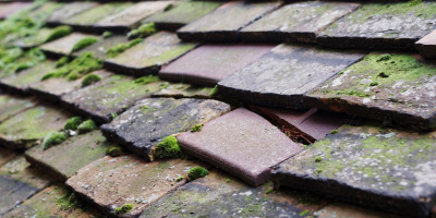 Cleeve roof repair costs